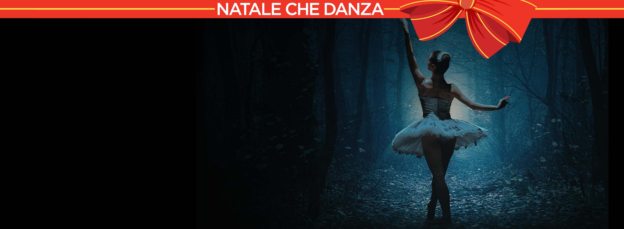 Natale che Danza 65.0