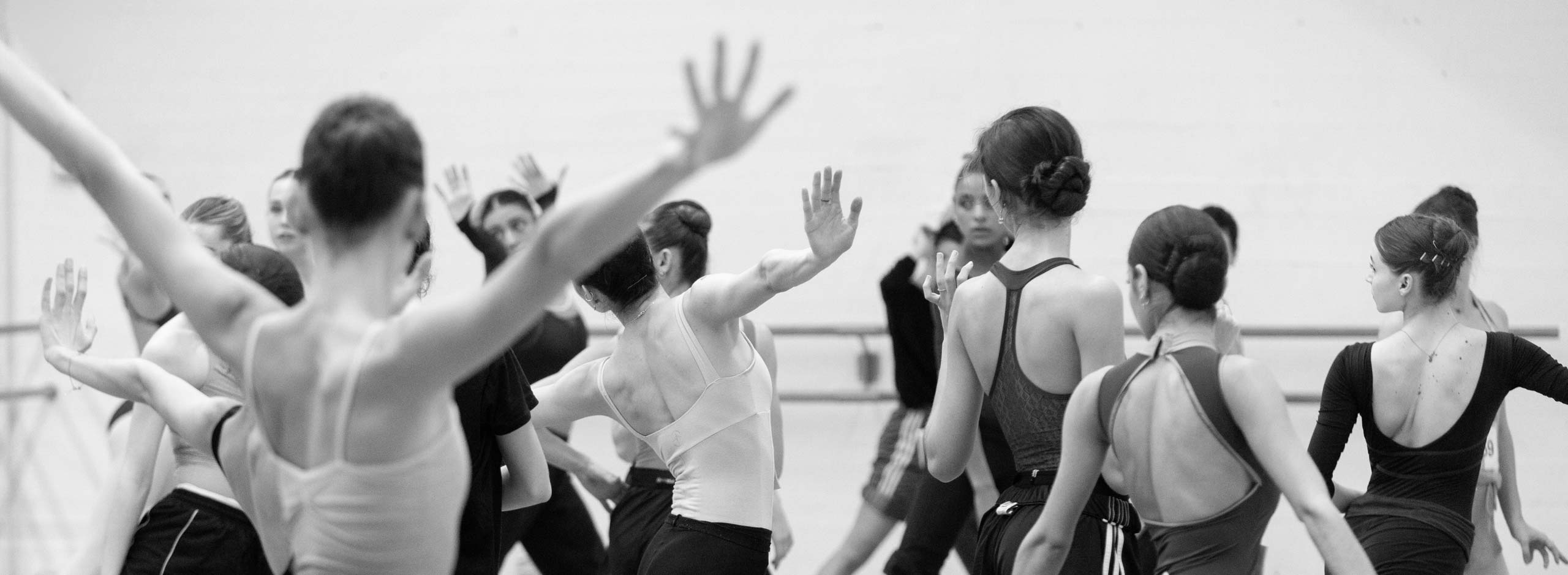 Audizione Junior Company